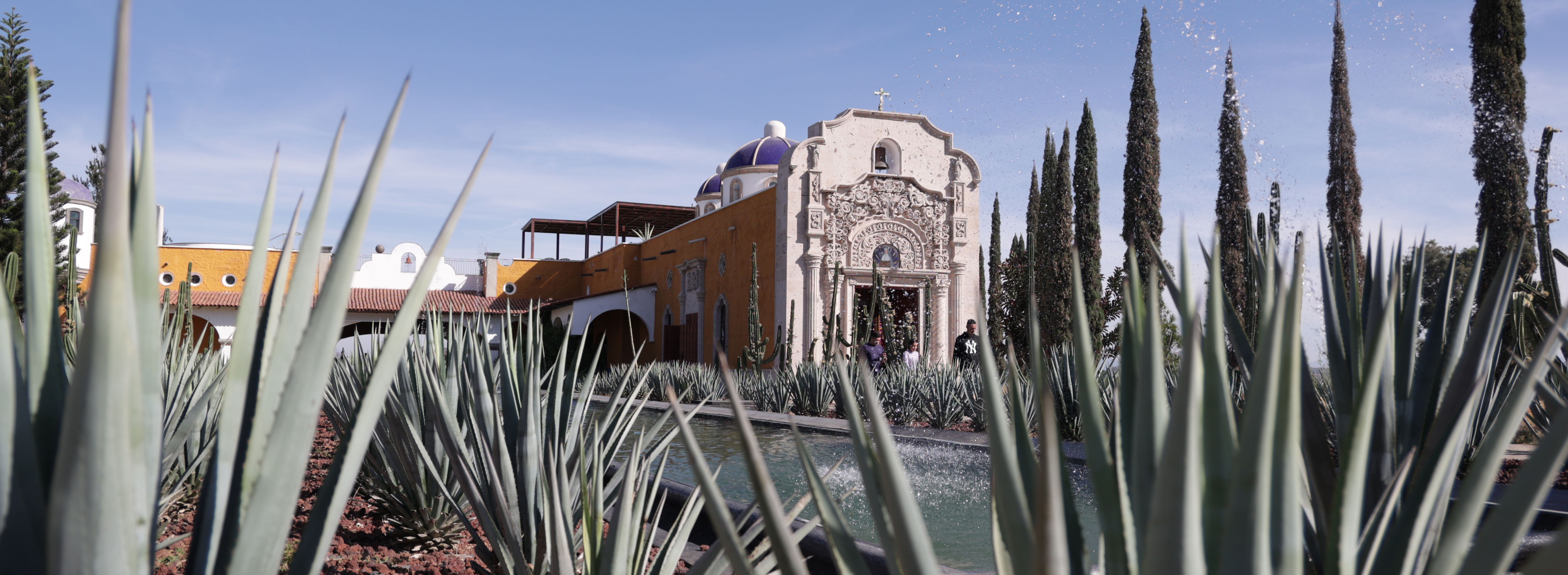 Historia Labrada en Agave